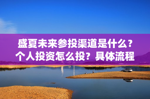 盛夏未来参投渠道是什么？个人投资怎么投？具体流程是什么?(盛夏未来发行公司)