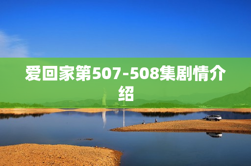 爱回家第507-508集剧情介绍