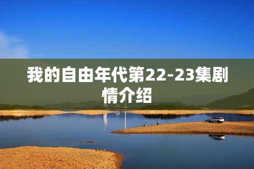 我的自由年代第22-23集剧情介绍