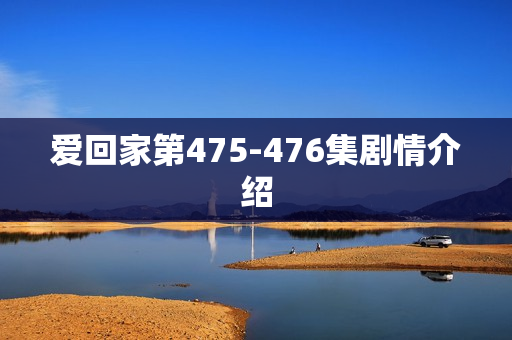爱回家第475-476集剧情介绍