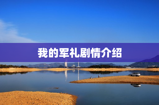 我的军礼剧情介绍