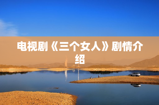 电视剧《三个女人》剧情介绍
