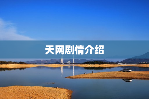 天网剧情介绍