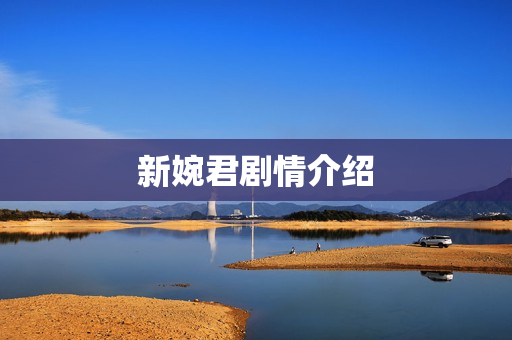 新婉君剧情介绍