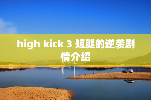 high kick 3 短腿的逆袭剧情介绍