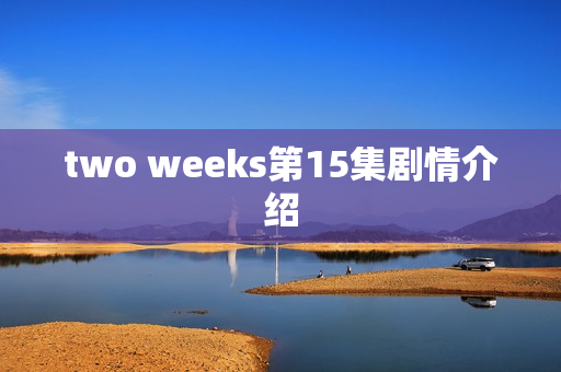 two weeks第15集剧情介绍