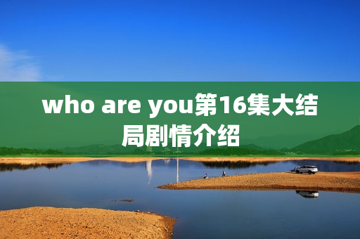 who are you第16集大结局剧情介绍