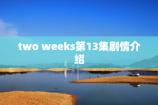 two weeks第13集剧情介绍