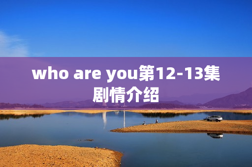 who are you第12-13集剧情介绍