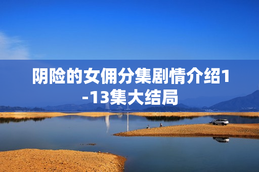 阴险的女佣分集剧情介绍1-13集大结局