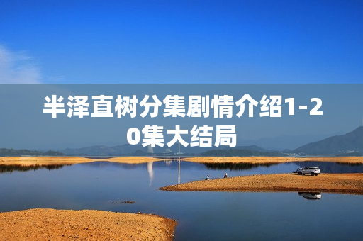 半泽直树分集剧情介绍1-20集大结局