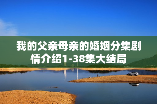 我的父亲母亲的婚姻分集剧情介绍1-38集大结局