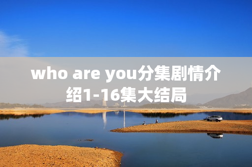 who are you分集剧情介绍1-16集大结局