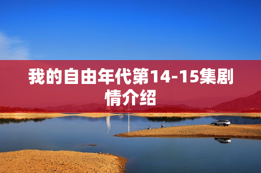 我的自由年代第14-15集剧情介绍