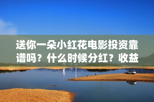 送你一朵小红花电影投资靠谱吗？什么时候分红？收益怎么算(送你一朵小红花电影)
