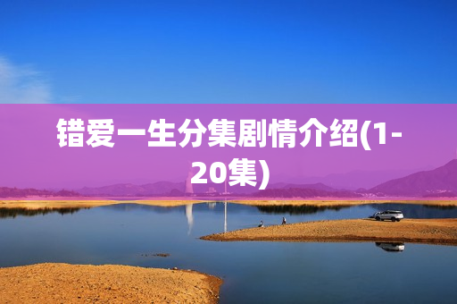 错爱一生分集剧情介绍(1-20集)