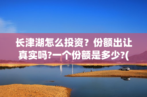 长津湖怎么投资？份额出让真实吗?一个份额是多少?(长津湖投资门槛高)