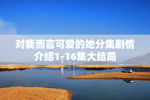 对我而言可爱的她分集剧情介绍1-16集大结局