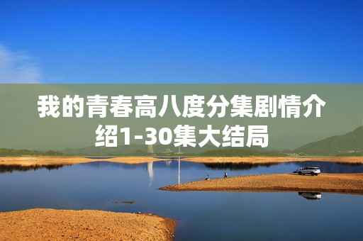 我的青春高八度分集剧情介绍1-30集大结局