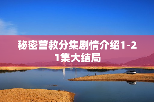 秘密营救分集剧情介绍1-21集大结局