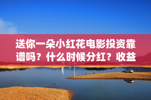 送你一朵小红花电影投资靠谱吗？什么时候分红？收益怎么算(送你一朵小红花歌词)