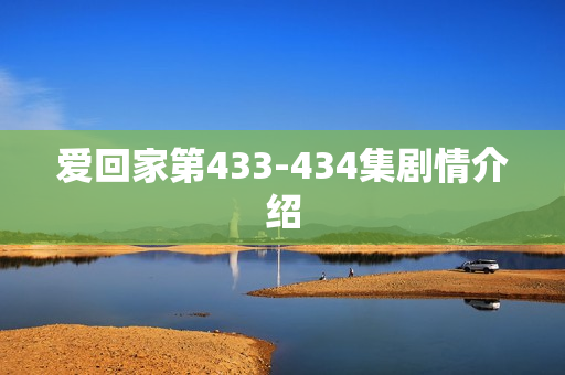 爱回家第433-434集剧情介绍