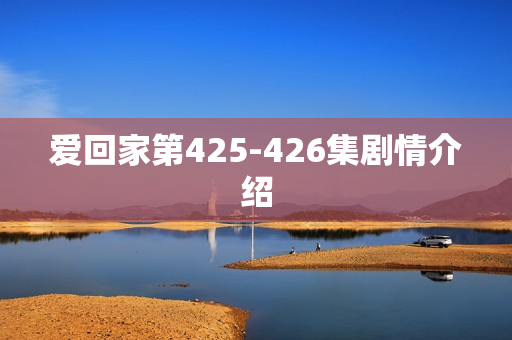 爱回家第425-426集剧情介绍