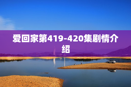 爱回家第419-420集剧情介绍