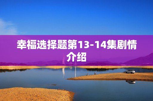 幸福选择题第13-14集剧情介绍 幸福选择题第13-14集剧情介绍