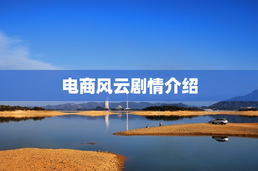 电商风云剧情介绍
