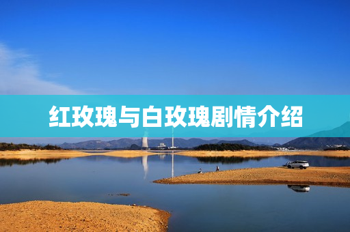 红玫瑰与白玫瑰剧情介绍