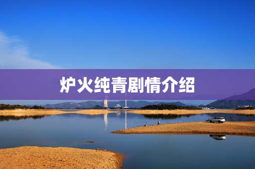 炉火纯青剧情介绍