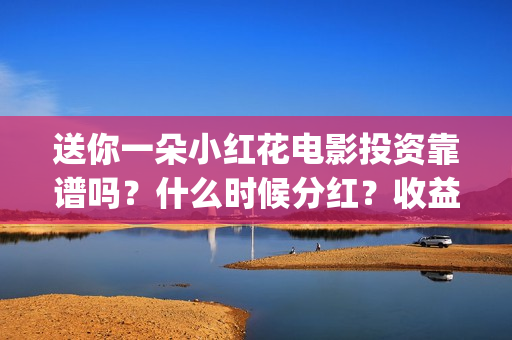 送你一朵小红花电影投资靠谱吗？什么时候分红？收益怎么算(送你一朵小红花免费观看完整版)