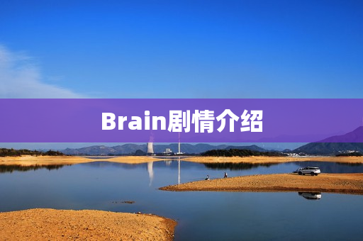 Brain剧情介绍