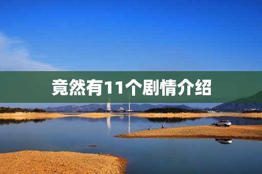 竟然有11个剧情介绍