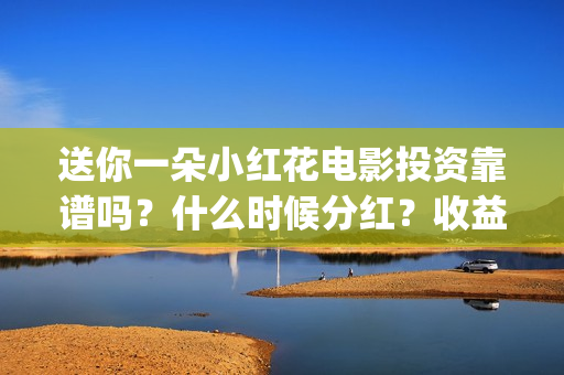 送你一朵小红花电影投资靠谱吗？什么时候分红？收益怎么算(送你一朵小红花演员表)