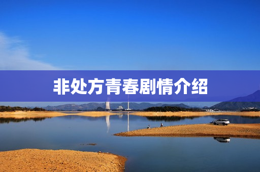 非处方青春剧情介绍