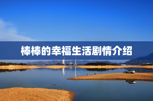 棒棒的幸福生活剧情介绍