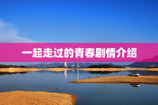 一起走过的青春剧情介绍