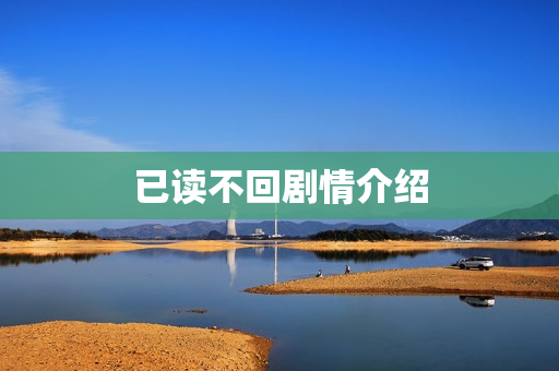 已读不回剧情介绍