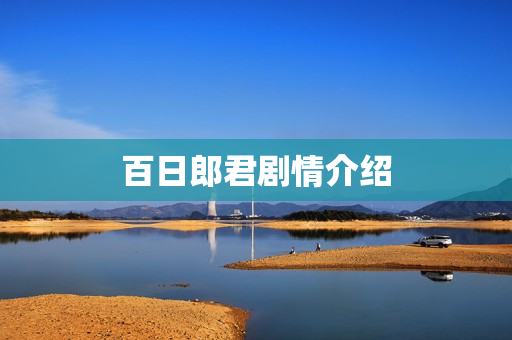百日郎君剧情介绍
