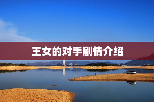王女的对手剧情介绍