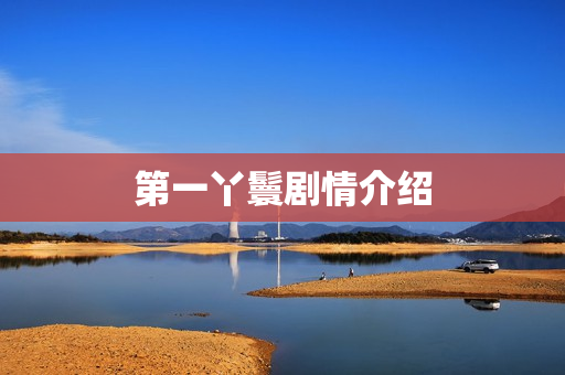 第一丫鬟剧情介绍