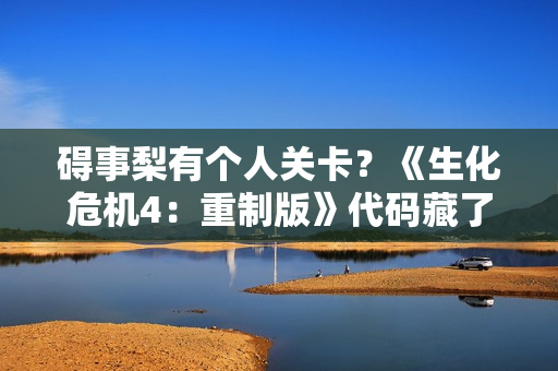 碍事梨有个人关卡？《生化危机4：重制版》代码藏了大的！