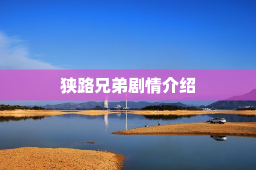 狭路兄弟剧情介绍