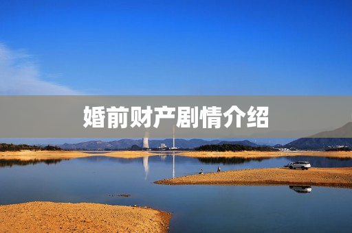 婚前财产剧情介绍