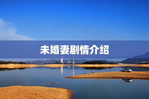 未婚妻剧情介绍