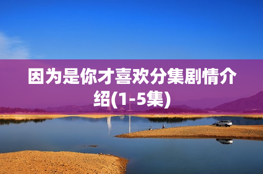 因为是你才喜欢分集剧情介绍(1-5集)