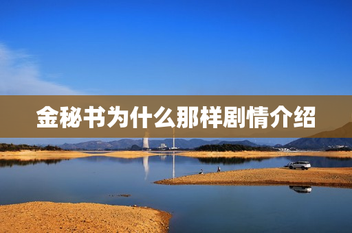 金秘书为什么那样剧情介绍