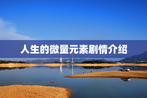 人生的微量元素剧情介绍